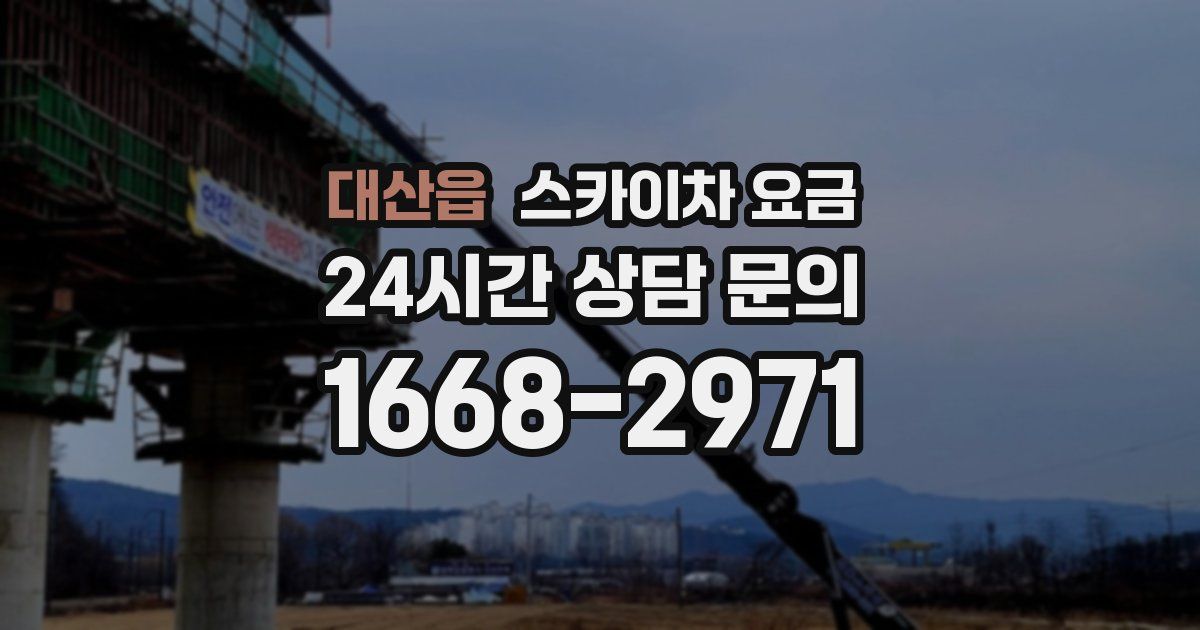 대산읍 스카이차 요금