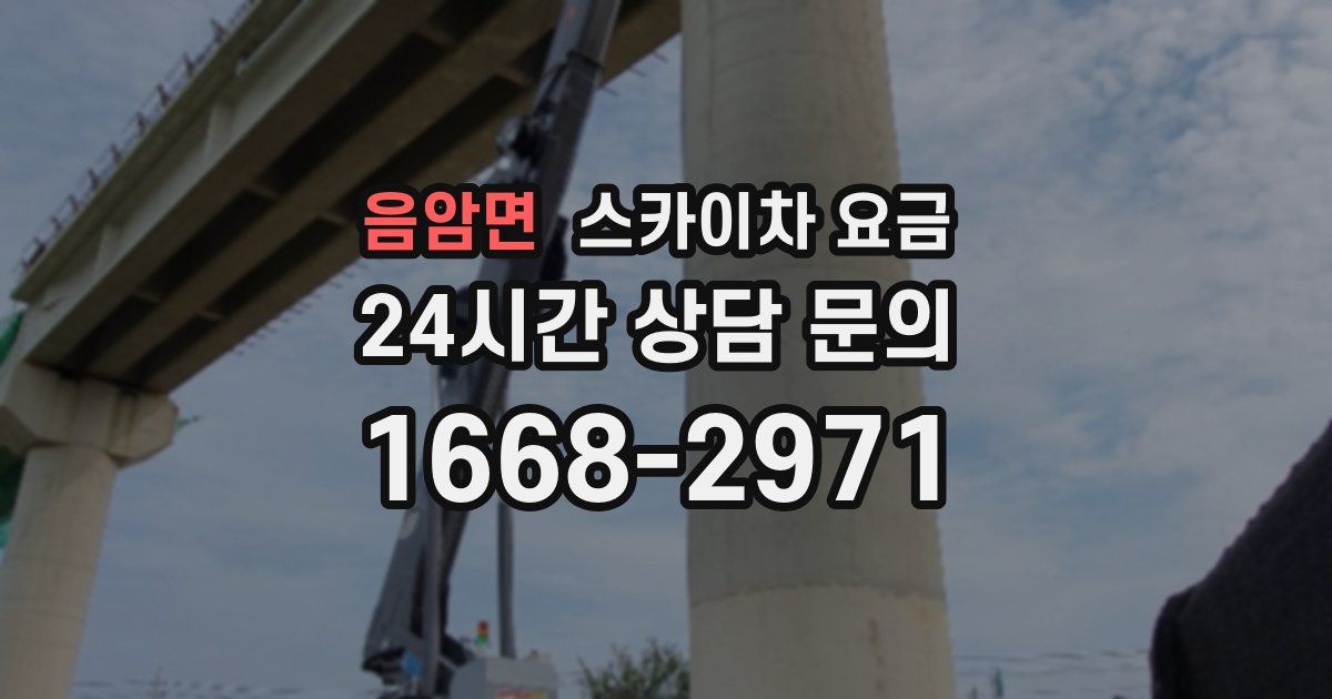 음암면 스카이차 요금