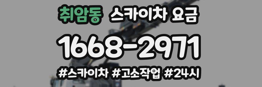 취암동 스카이차 요금