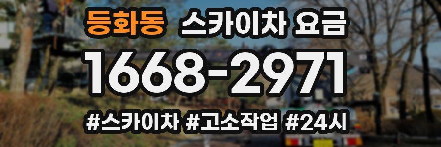 등화동 스카이차 요금