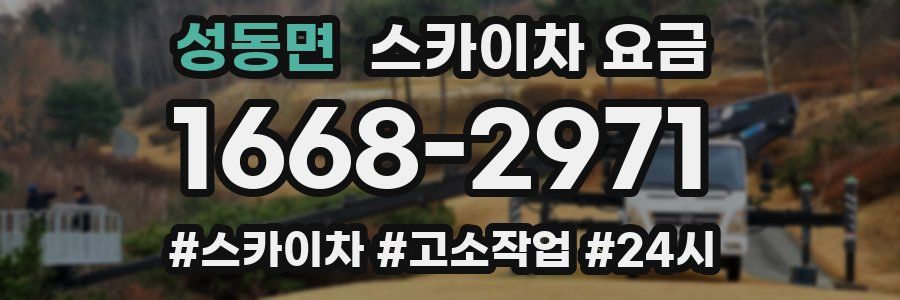 성동면 스카이차 요금