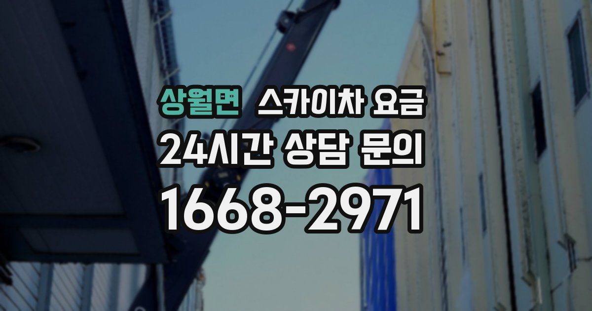 상월면 스카이차 요금