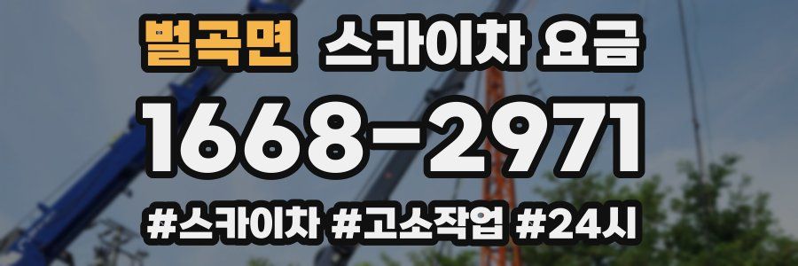 벌곡면 스카이차 요금