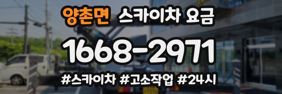 양촌면 스카이차 요금