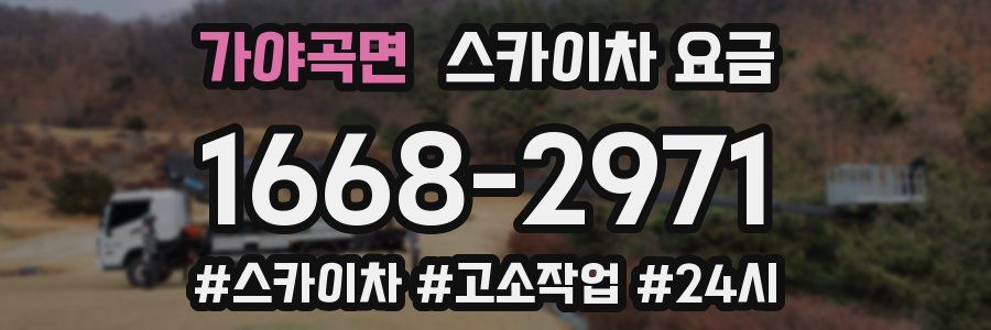 가야곡면 스카이차 요금