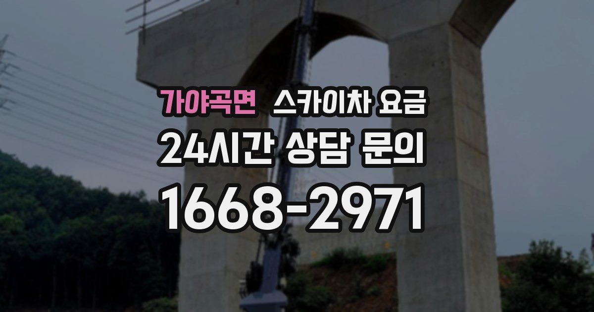 가야곡면 스카이차 요금