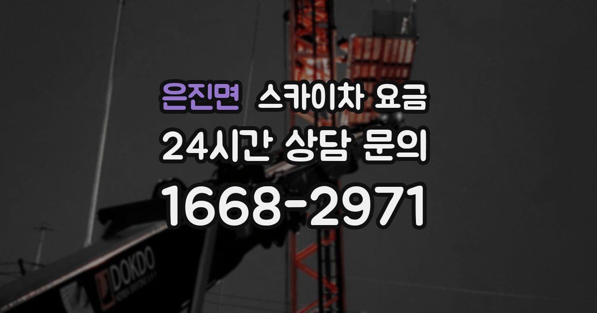 은진면 스카이차 요금