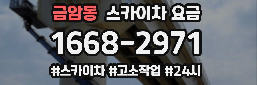 금암동 스카이차 요금
