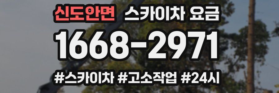 신도안면 스카이차 요금