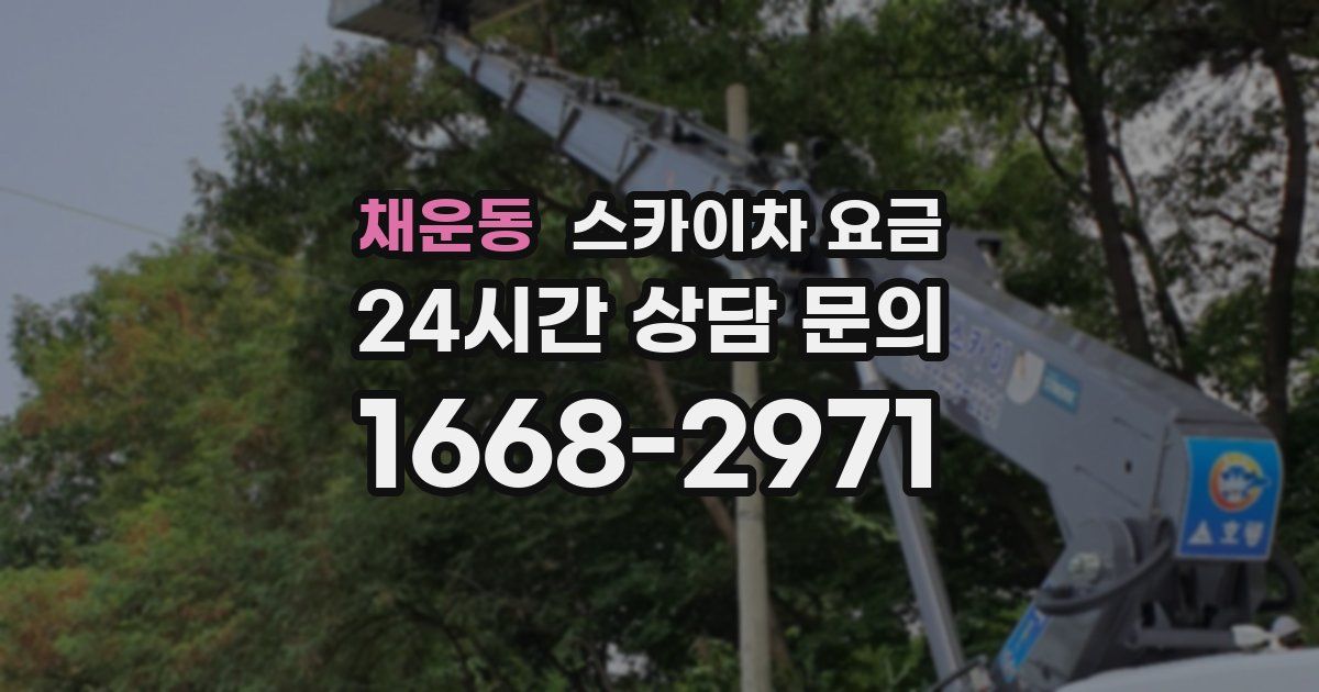 채운동 스카이차 요금