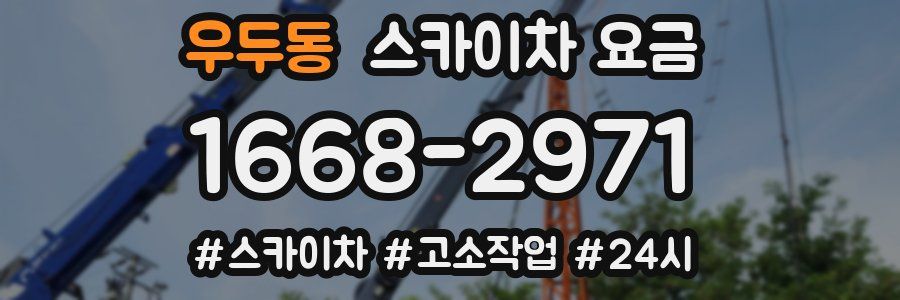 우두동 스카이차 요금