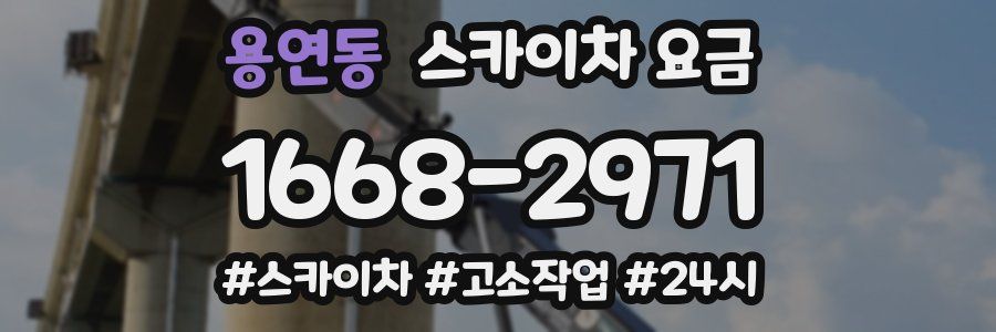 용연동 스카이차 요금
