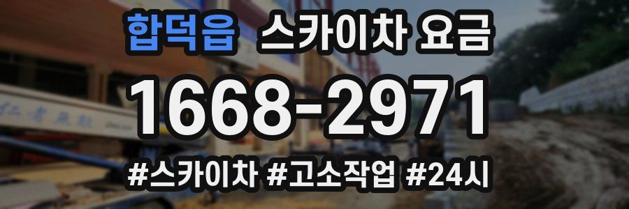 합덕읍 스카이차 요금