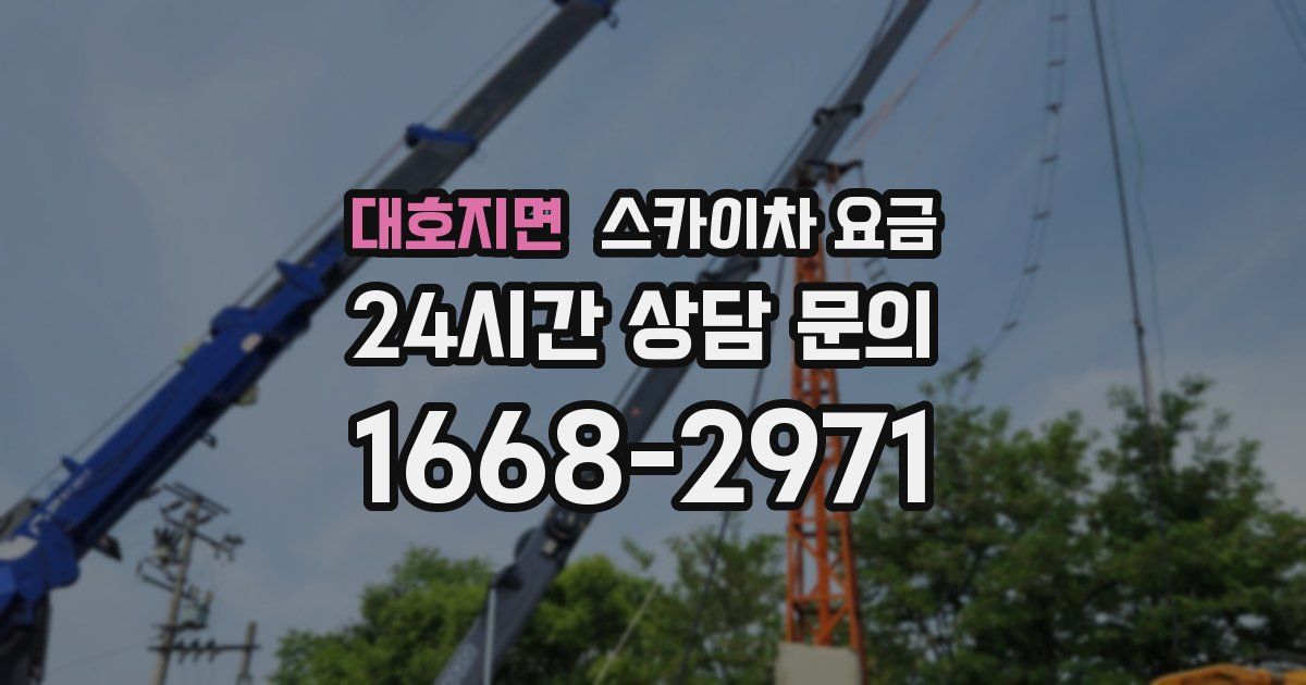 대호지면 스카이차 요금