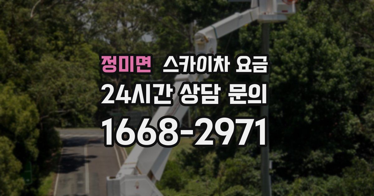 정미면 스카이차 요금