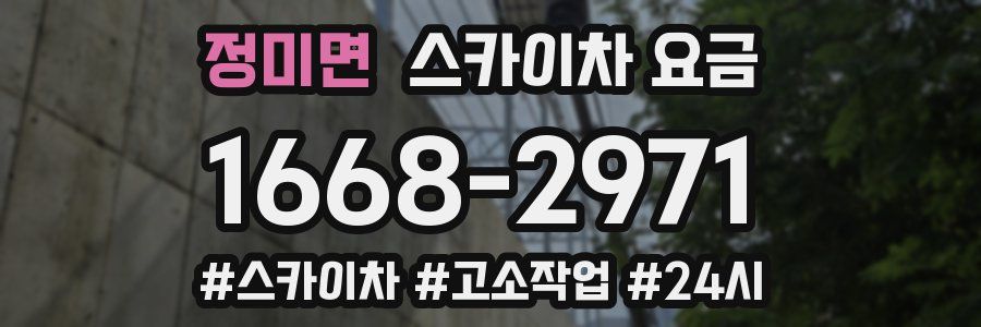 정미면 스카이차 요금