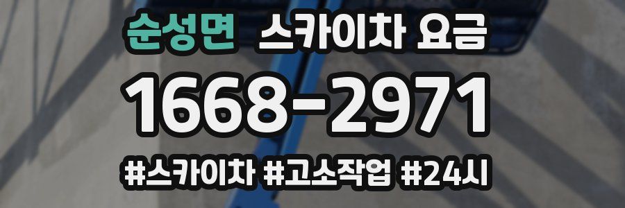순성면 스카이차 요금