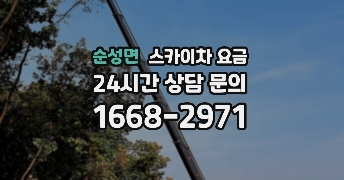 순성면 스카이차 요금