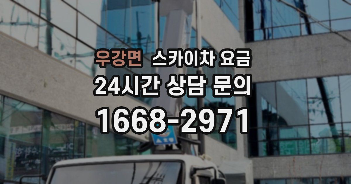우강면 스카이차 요금