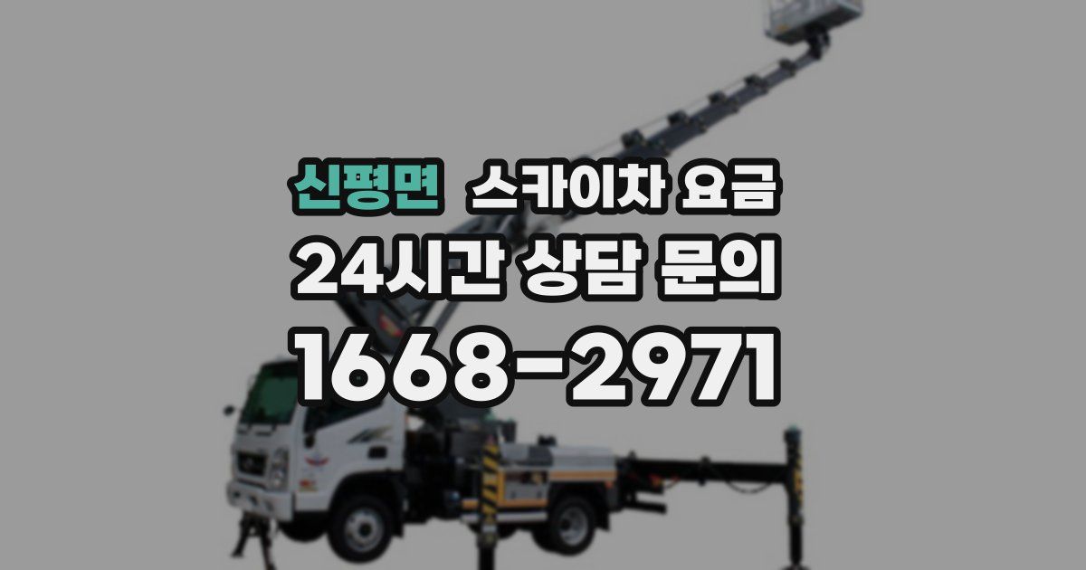 신평면 스카이차 요금