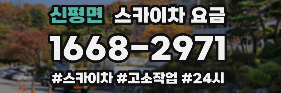신평면 스카이차 요금