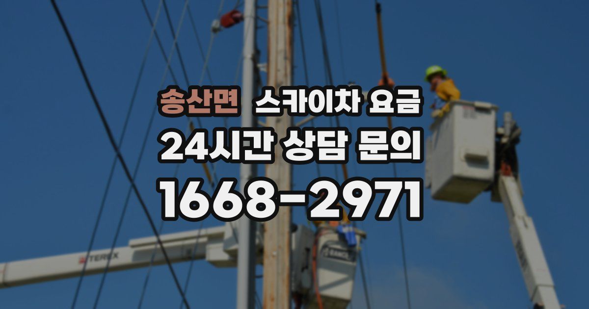 송산면 스카이차 요금