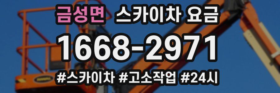 금성면 스카이차 요금
