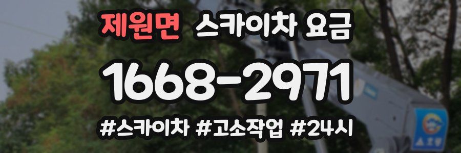제원면 스카이차 요금