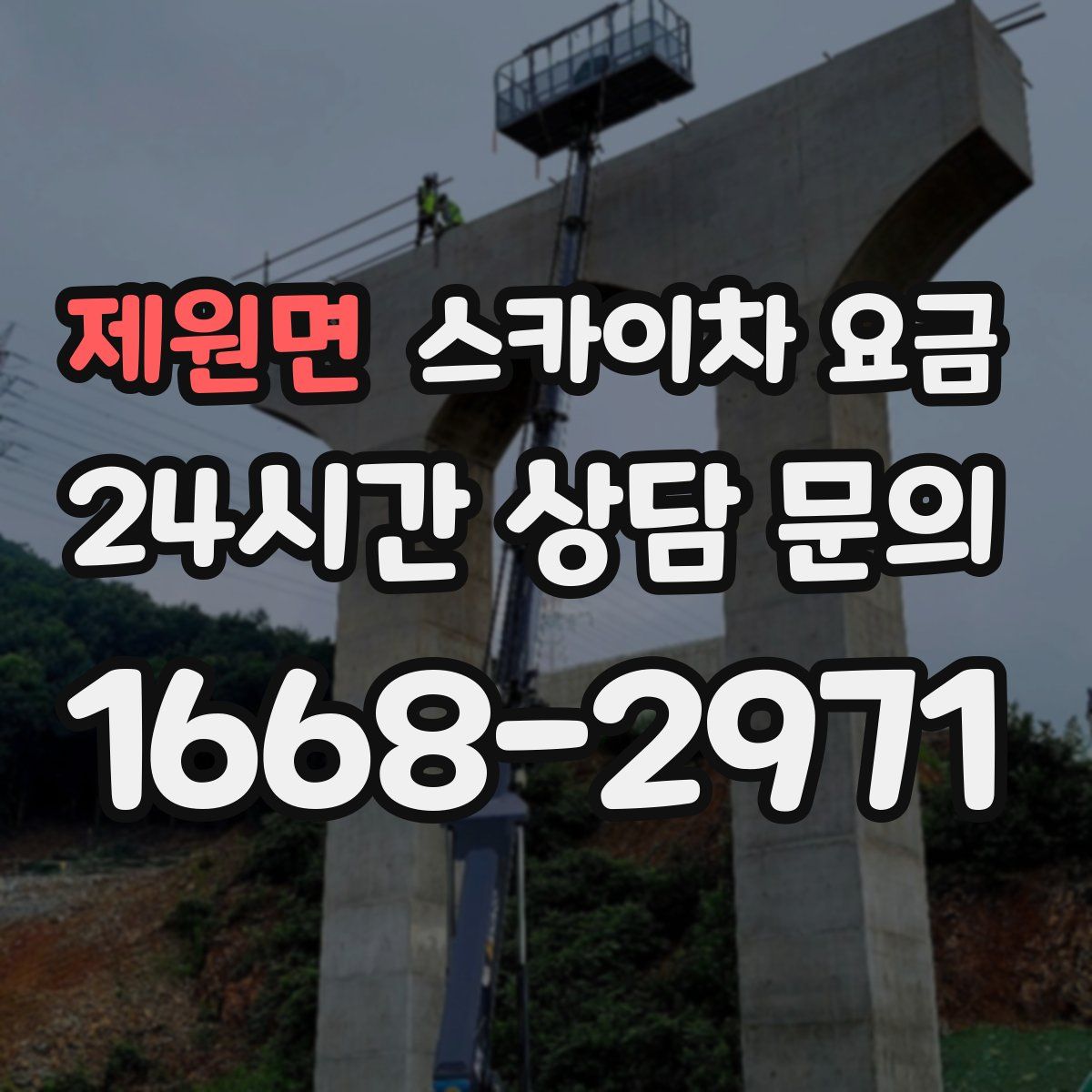 제원면 스카이차 요금