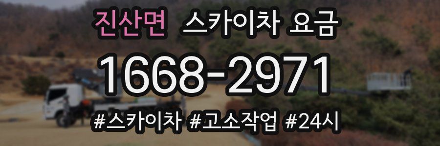 진산면 스카이차 요금