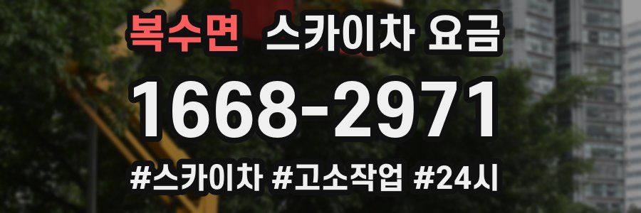 복수면 스카이차 요금