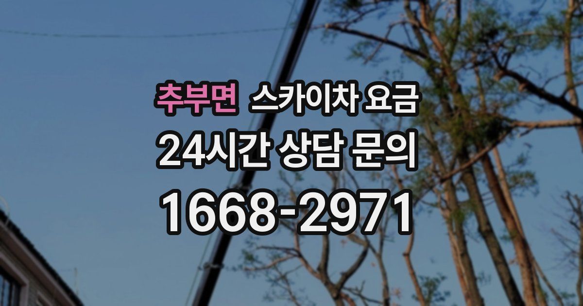 추부면 스카이차 요금