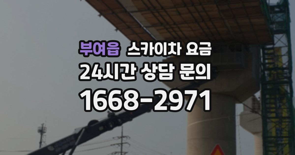 부여읍 스카이차 요금