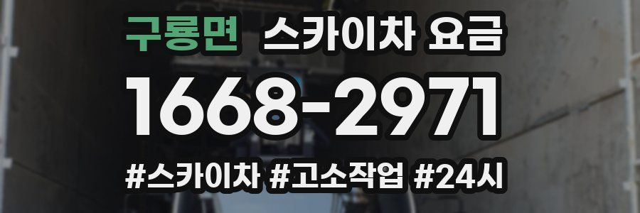 구룡면 스카이차 요금
