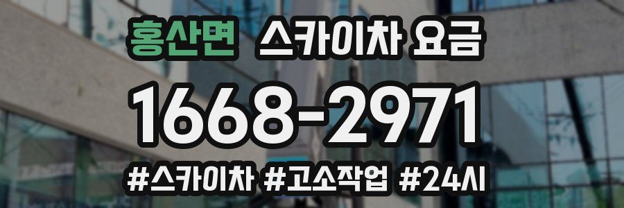 홍산면 스카이차 요금