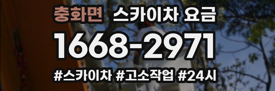 충화면 스카이차 요금