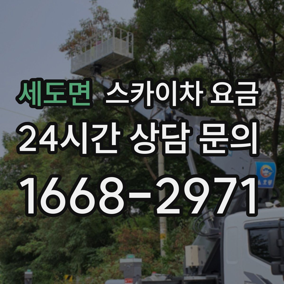 세도면 스카이차 요금