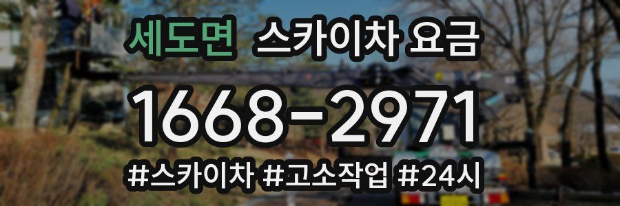 세도면 스카이차 요금