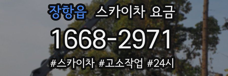 장항읍 스카이차 요금