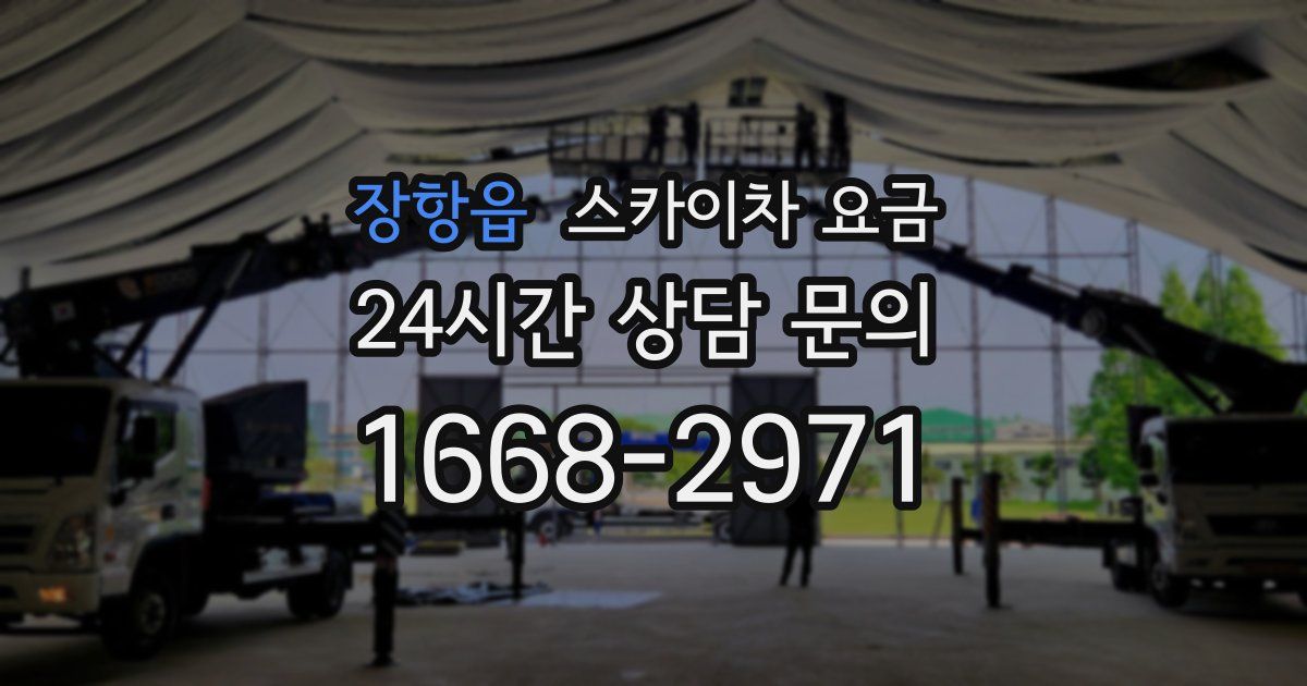 장항읍 스카이차 요금