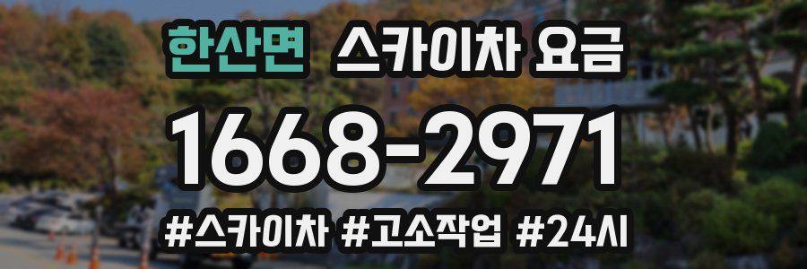 한산면 스카이차 요금