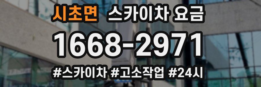 시초면 스카이차 요금