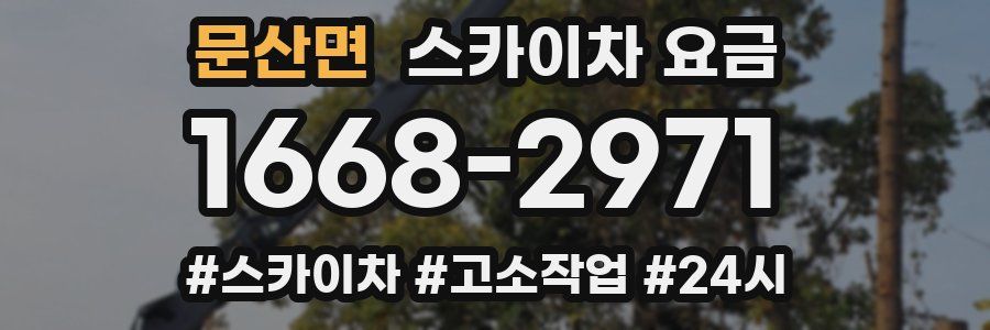 문산면 스카이차 요금