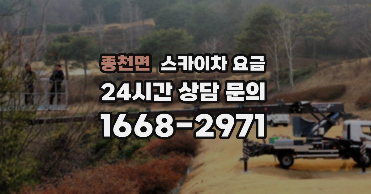 종천면 스카이차 요금