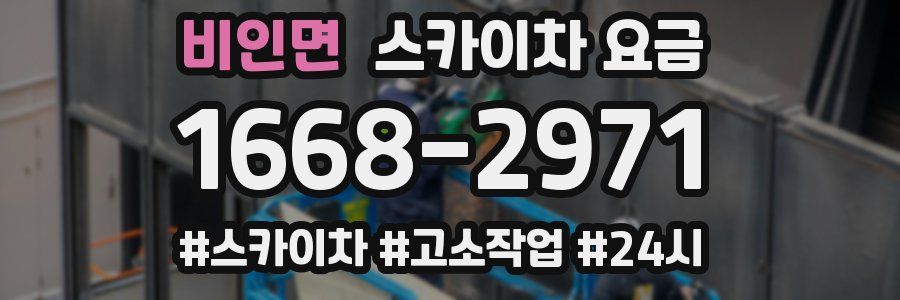 비인면 스카이차 요금