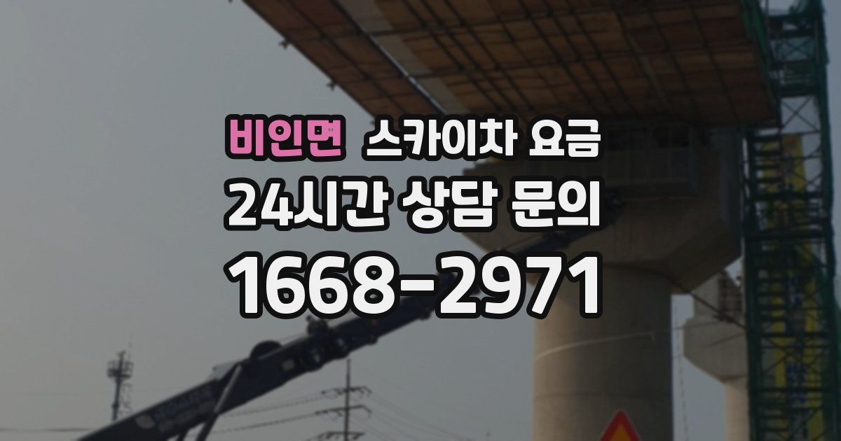비인면 스카이차 요금