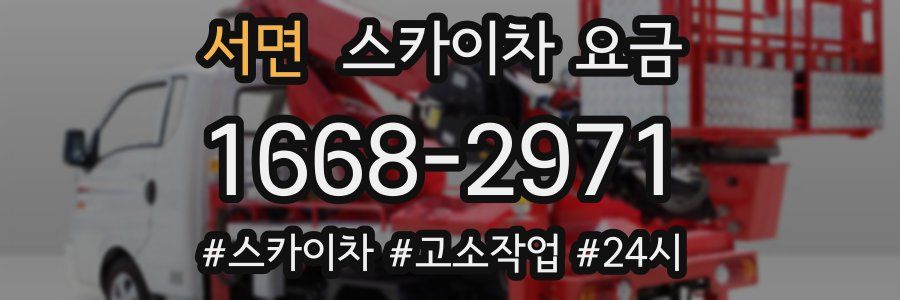 서면 스카이차 요금