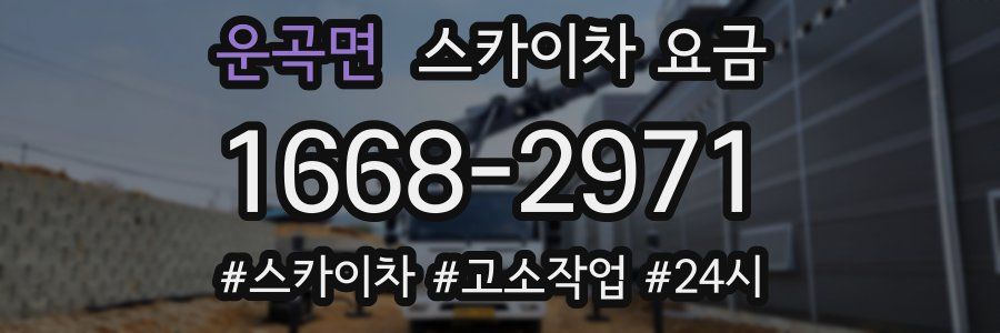 운곡면 스카이차 요금