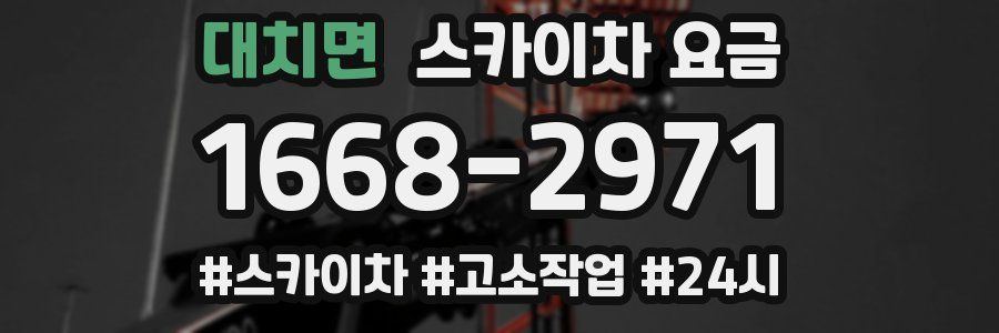 대치면 스카이차 요금