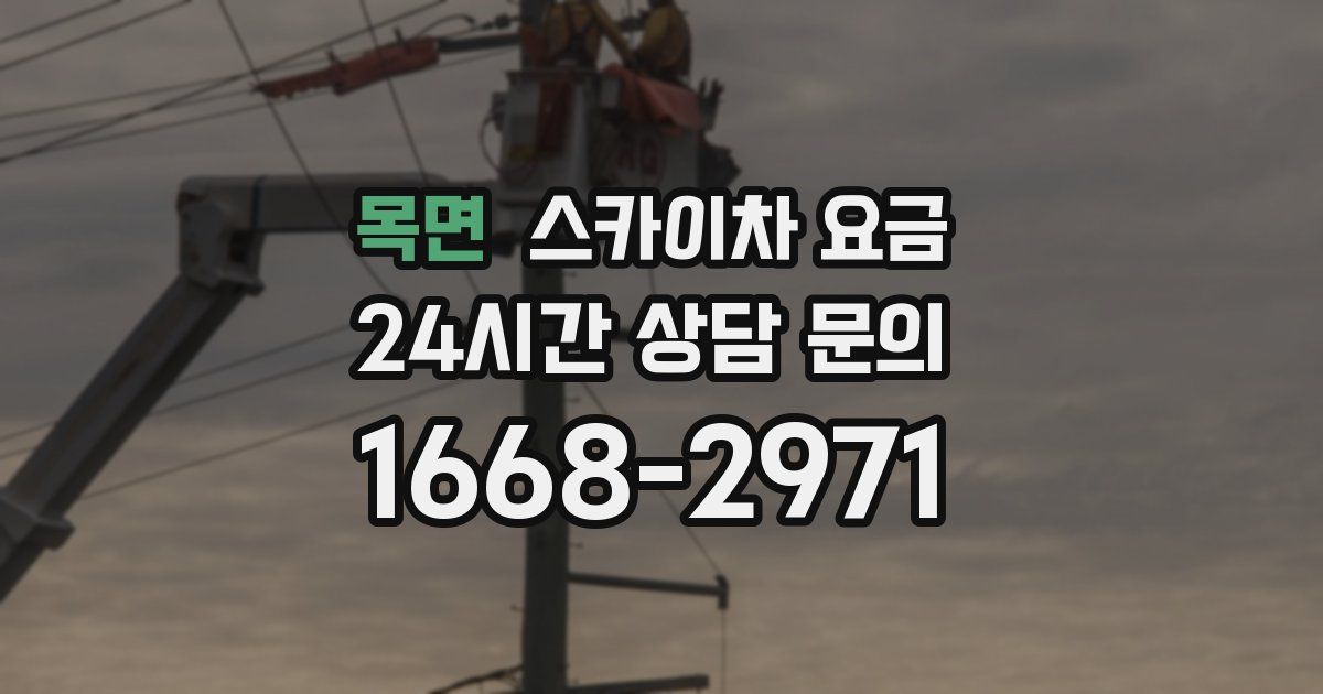 목면 스카이차 요금